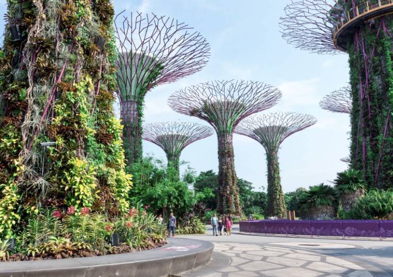 新加坡買一送一狂歡季！酒店自助餐、大牌全場狂打7折