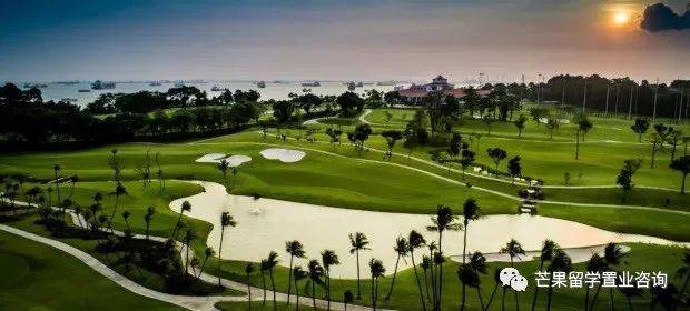 新加坡超人气民宿