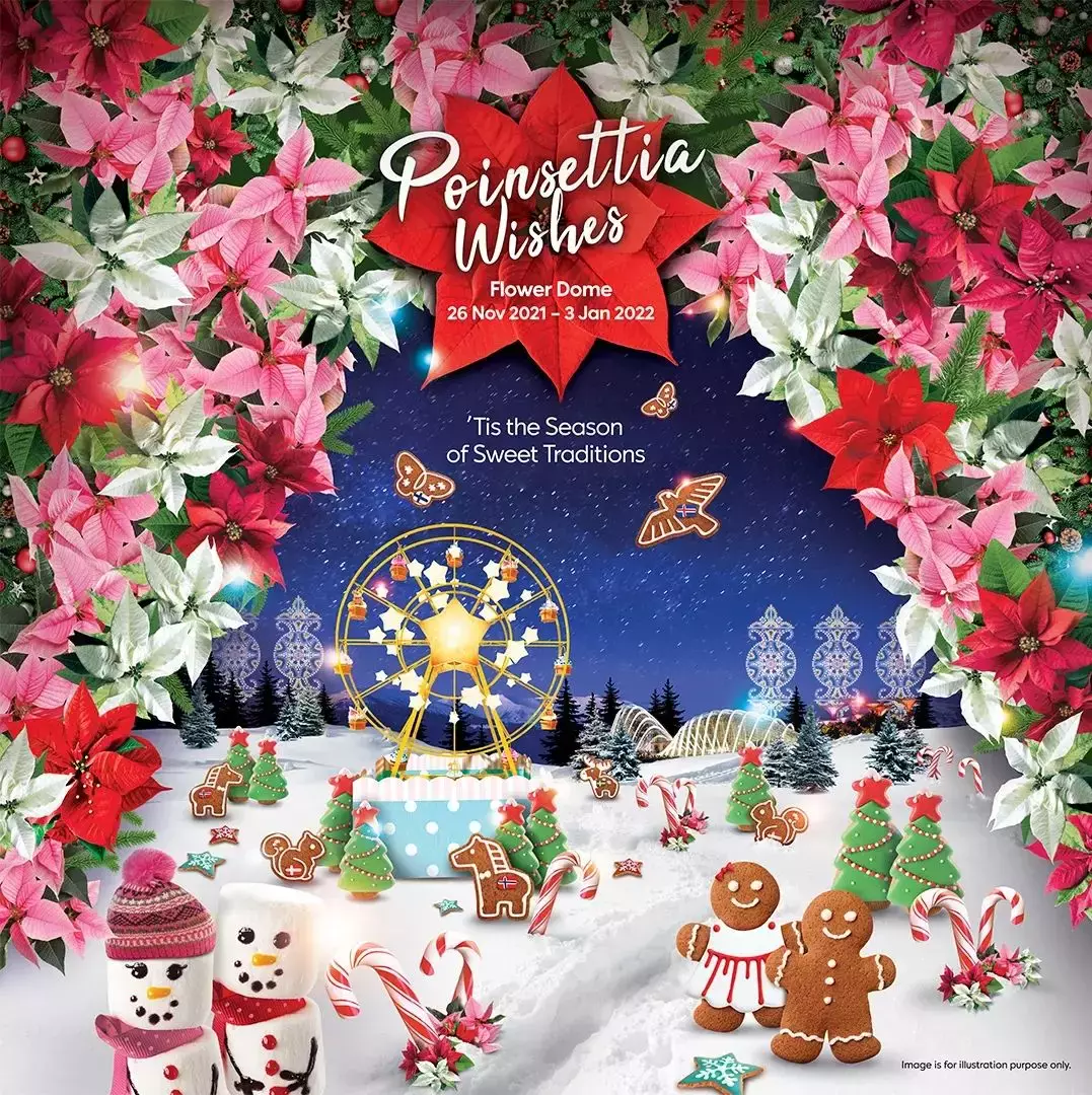 8米摩天轮、巨型糖果手杖、苹果圣诞马车...新加坡滨海湾花园变身圣诞村