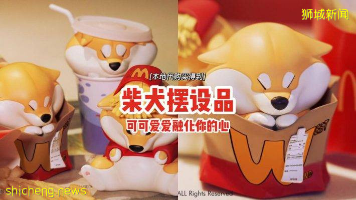 萌爆全网🔥柴犬摆设品登场、可可爱爱融化你的心💓本地代购买得到💰