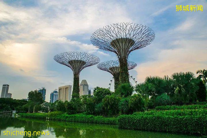 新加坡旅遊攻略 .