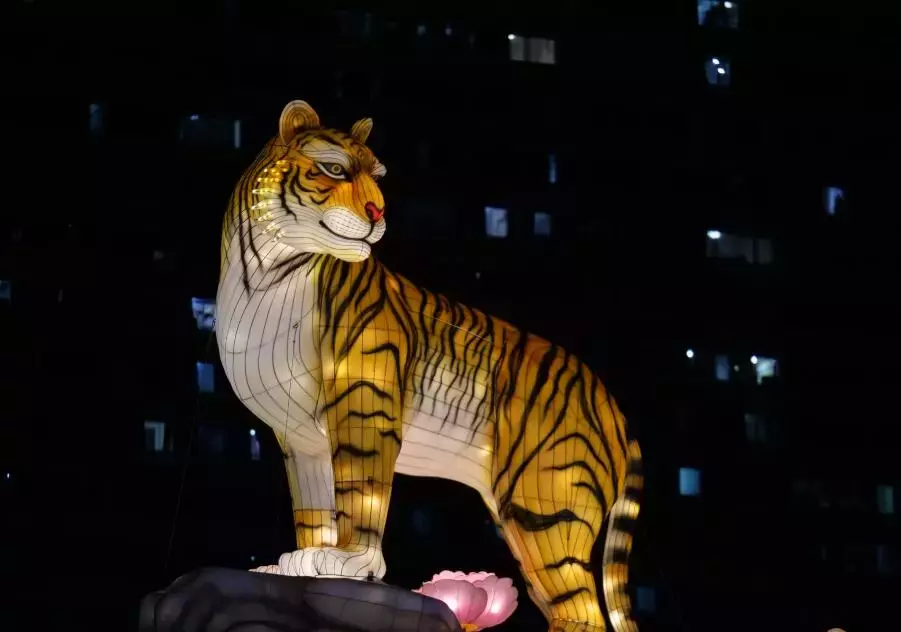 新加坡今年的“虎”點“彪”,居然“妩媚”地對我笑