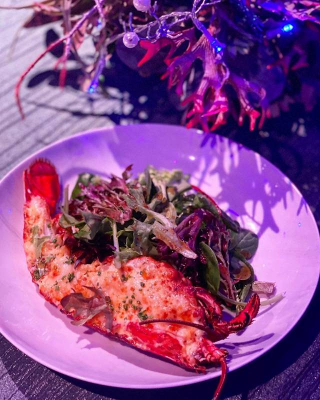 聖淘沙S.E.A.海洋館餐廳，聖誕節主題“深藍夜宴”！夢幻圓頂冰屋、探索迷人深海🐋 來一份浪漫的限定晚餐