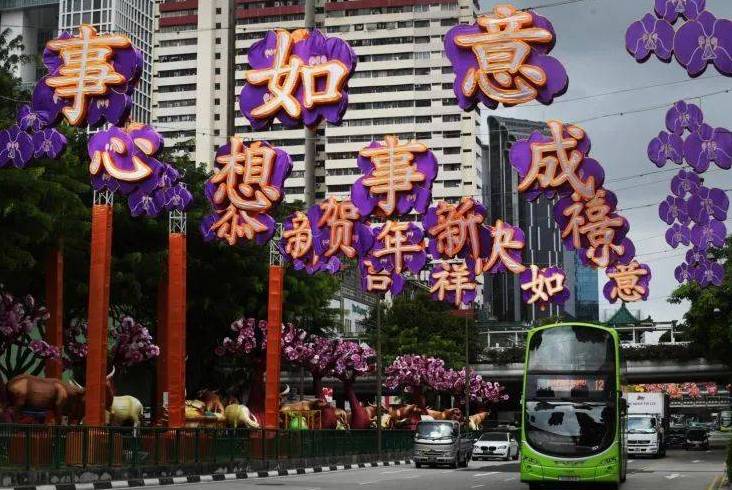 新加坡唐人街解鎖網紅打卡新姿勢,網友:滿滿的豐收味兒