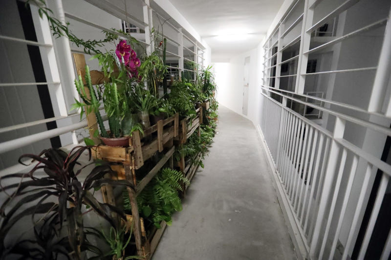 他也把走廊当“木工厂”摆满木板。