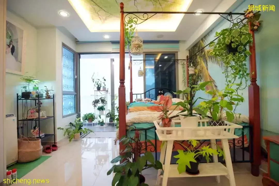 小小组屋内有百盆植物，园艺为何让这对新加坡小夫妻如此着迷