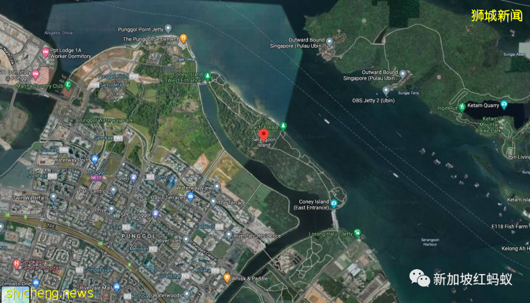 新加坡其实有两个虎豹别墅,其中一个就建在这个未开发的小岛上