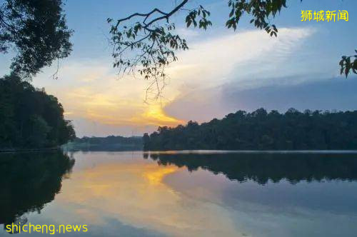 来新加坡玩刺激,一定不能错过麦里芝