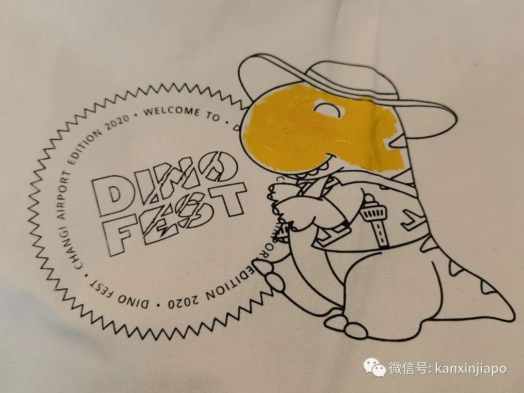 今增4，新加坡连续9天无本地病例，史上首次 | 樟宜机场冰雪仙境，抢鲜体验