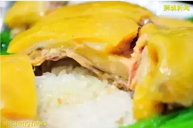 新加坡鸡最后的倔强,还能撑多久