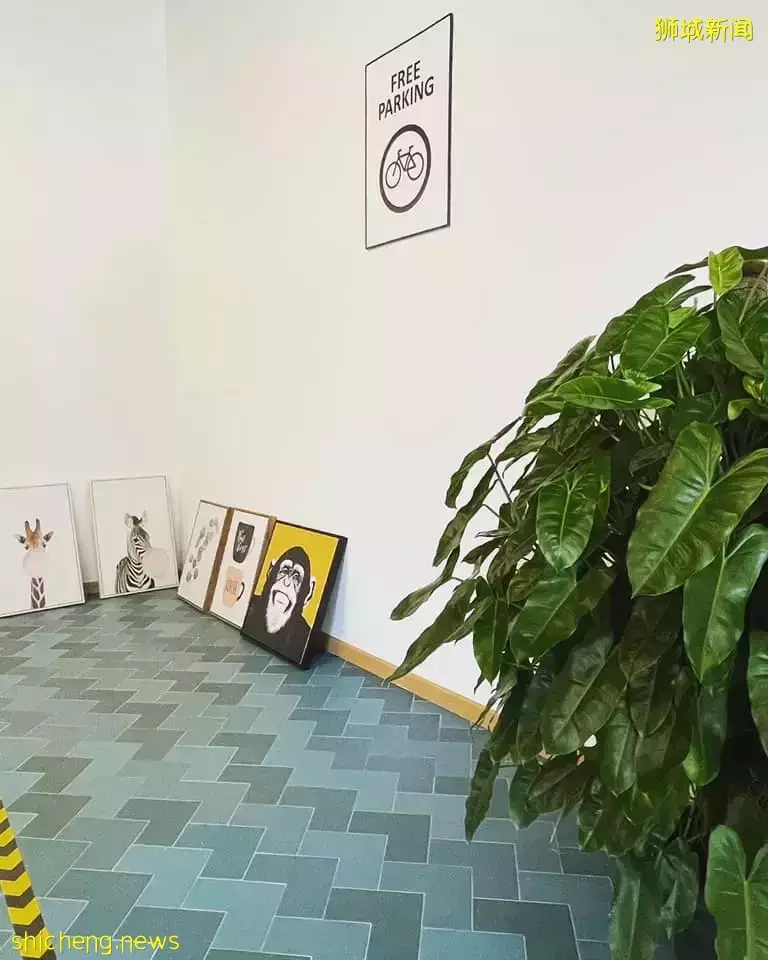 全新宠物友好的Cafe“Cava”🐕户外用餐区能让宠物入座!主打西式料理,快来探店咯