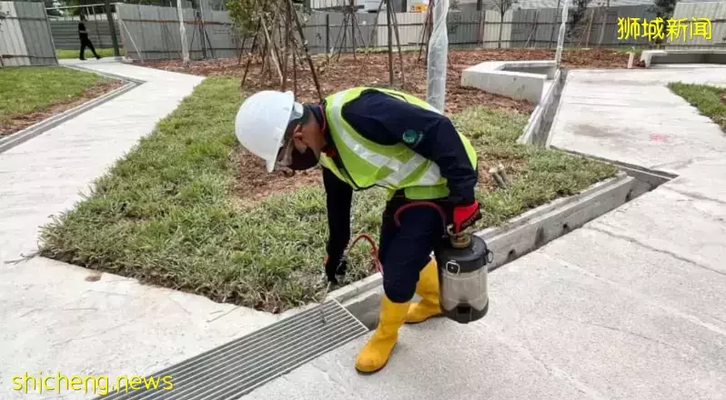 6月骨痛熱症曆史高峰!新加坡每周出現超2000多起病例