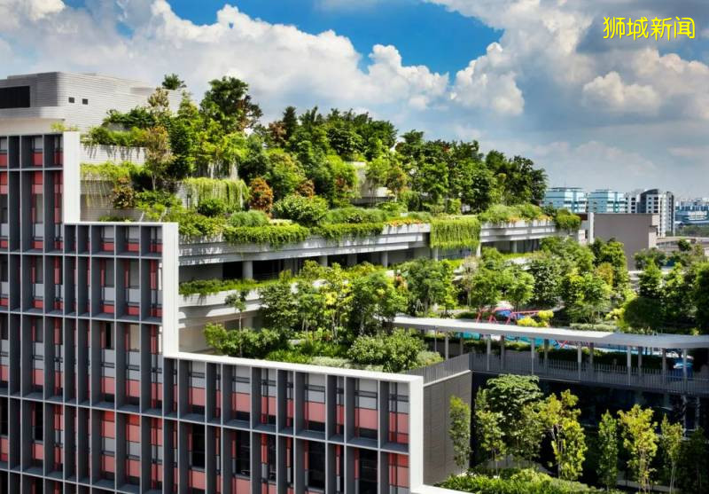 新加坡的前世今生(下)