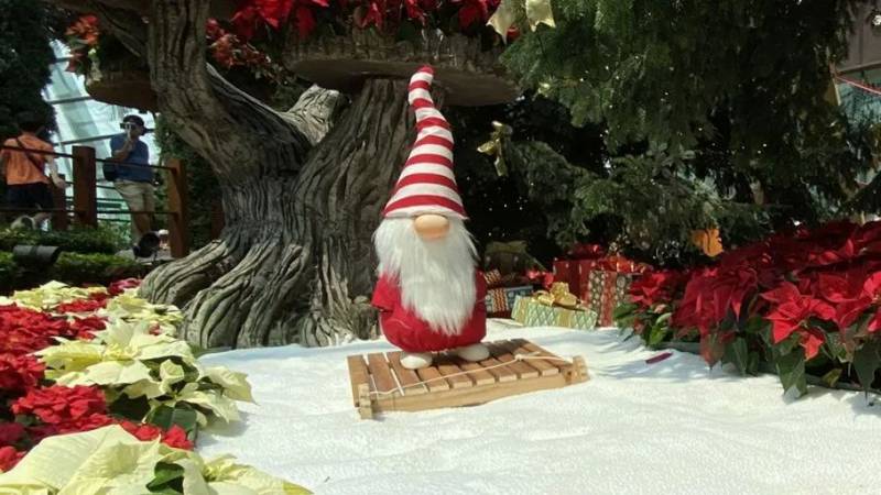 聖誕去哪嗨?從白天到晚上,從線下到線上,濱海灣公園聖誕活動不停歇