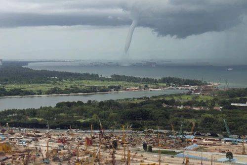 罕見!新加坡聖淘沙這條河變成了粉色,驚現大批死魚!39年創記錄暴雨太作了