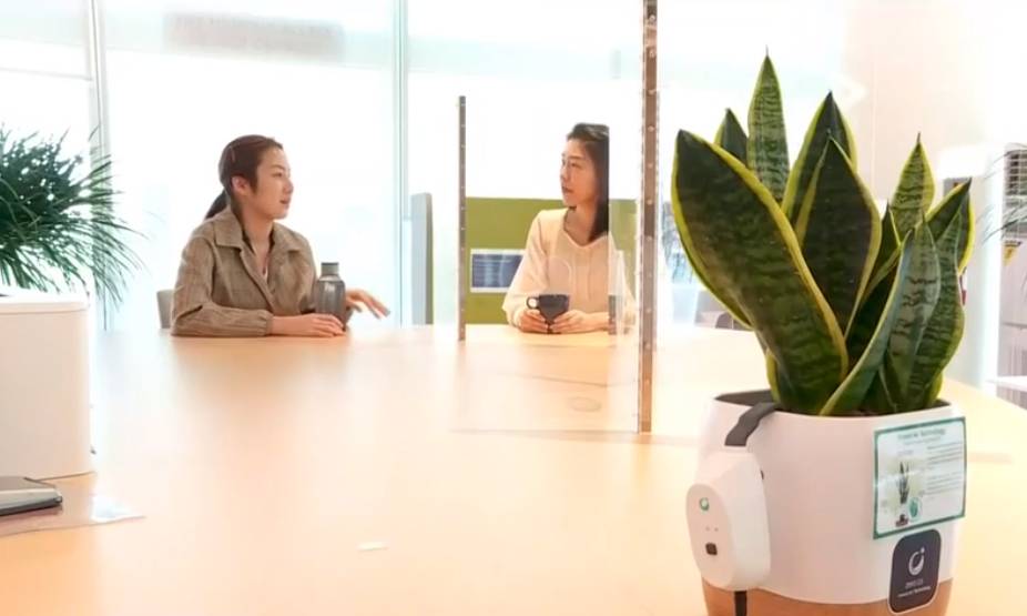 疫情下新加坡最大“国企”再出手，一块“玻璃”或赚个底朝天