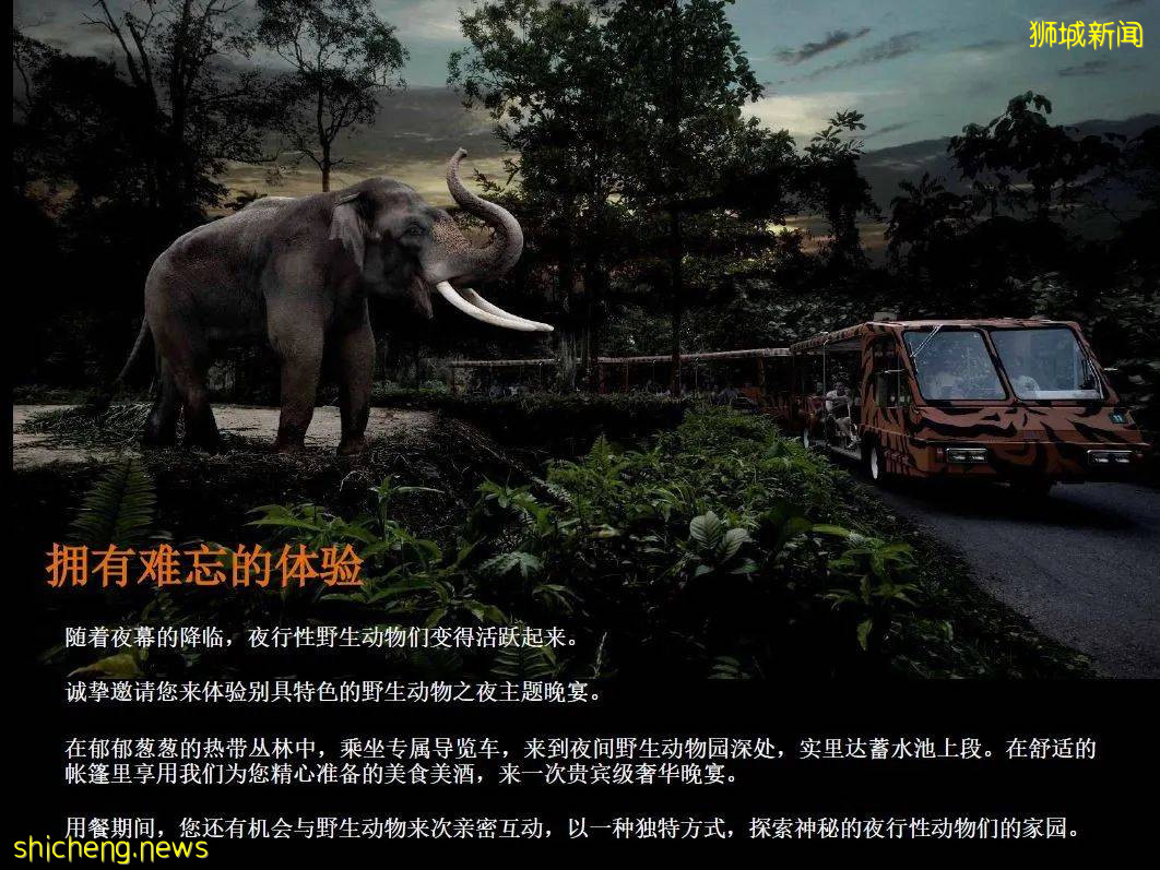 新加坡 中秋節野生動物之夜!酷炫探險~帳篷晚餐~賞月之旅