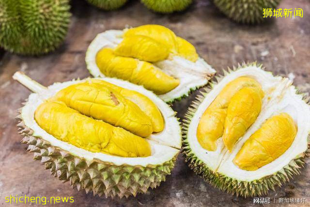 你感興趣的世界冷知識——新加坡篇