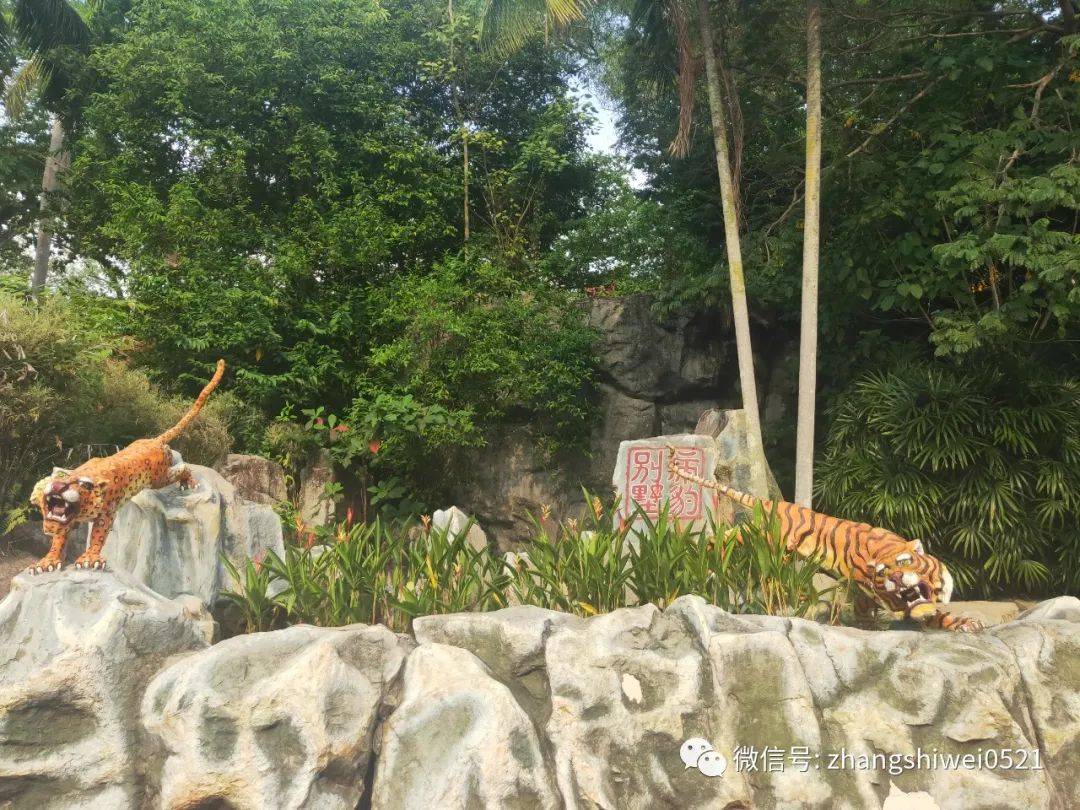 新加坡遊記系列 99%的人都會忽略的有趣景點