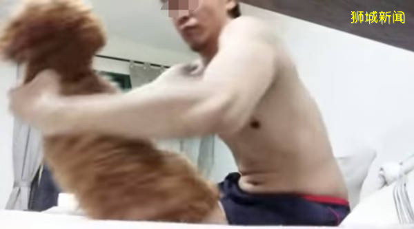 把贵宾狗当沙包打  半裸男虐犬过程放上网