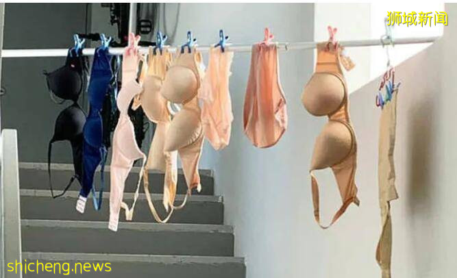 新加坡組屋變“客廳”？有點格局！養雞場、小叢林、毛片場