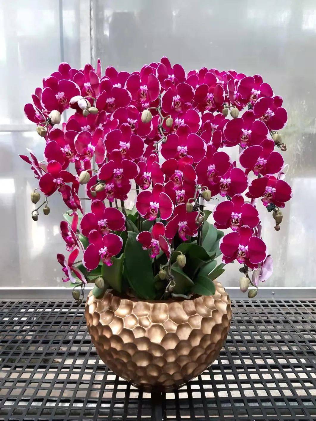 叮咚!你有一個情人節蛋糕請簽收!比玫瑰還好看的花也來了