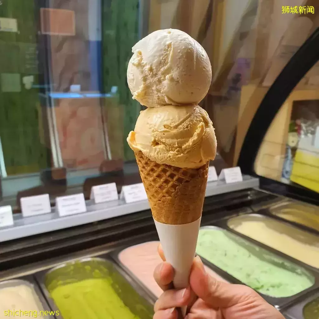轉角遇到愛🍦新加坡小而美的精致鄰裏冰激淩店大盤點