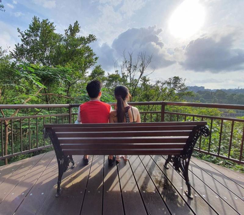 Southern Ridges 南部山脊，新加坡自然景觀帶！穿梭4座園區、多樣化徒步線路🌳 沿路景點大合集