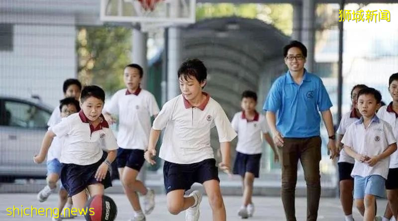 幹貨!新加坡最熱門的托管中心,全在這裏了