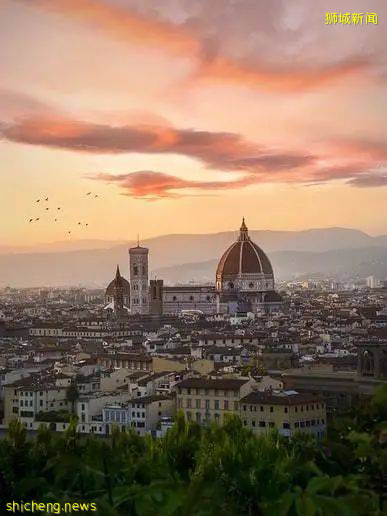 “最近!我從新加坡飛德國、法國免隔離度假,猜猜花了多少錢~”