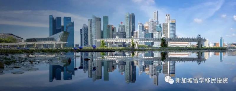 【資産配置+移民資訊】在設立新加坡家族辦公室的優勢和功能您了解嗎