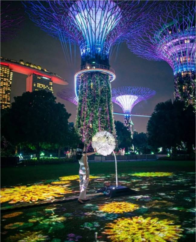 免费!赶紧来打卡滨海湾的梦幻蒲公英花园,感受超浪漫的日式风情!活动有效期至11月15日