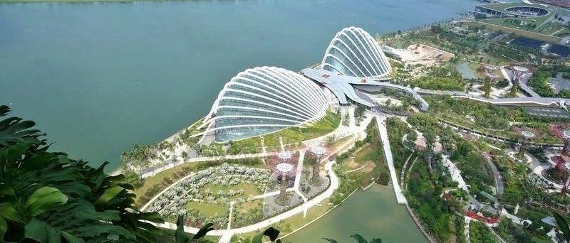 新加坡留学，如何申请新加坡高中作为跳板