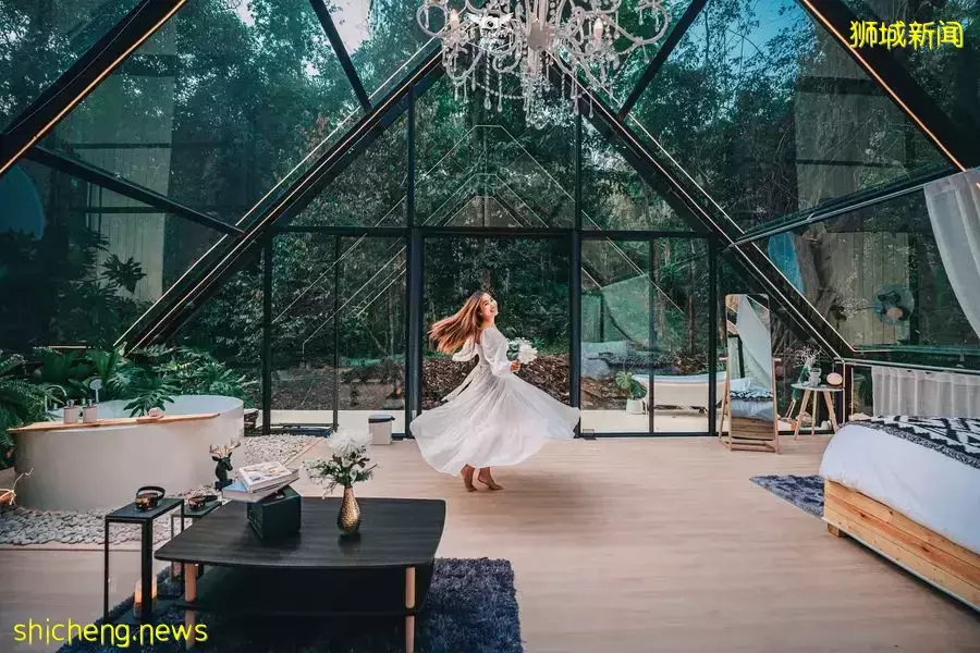 在原始森林裏的精致玻璃屋露營@泰國清邁!超美360度森林景觀、避世豪華享受