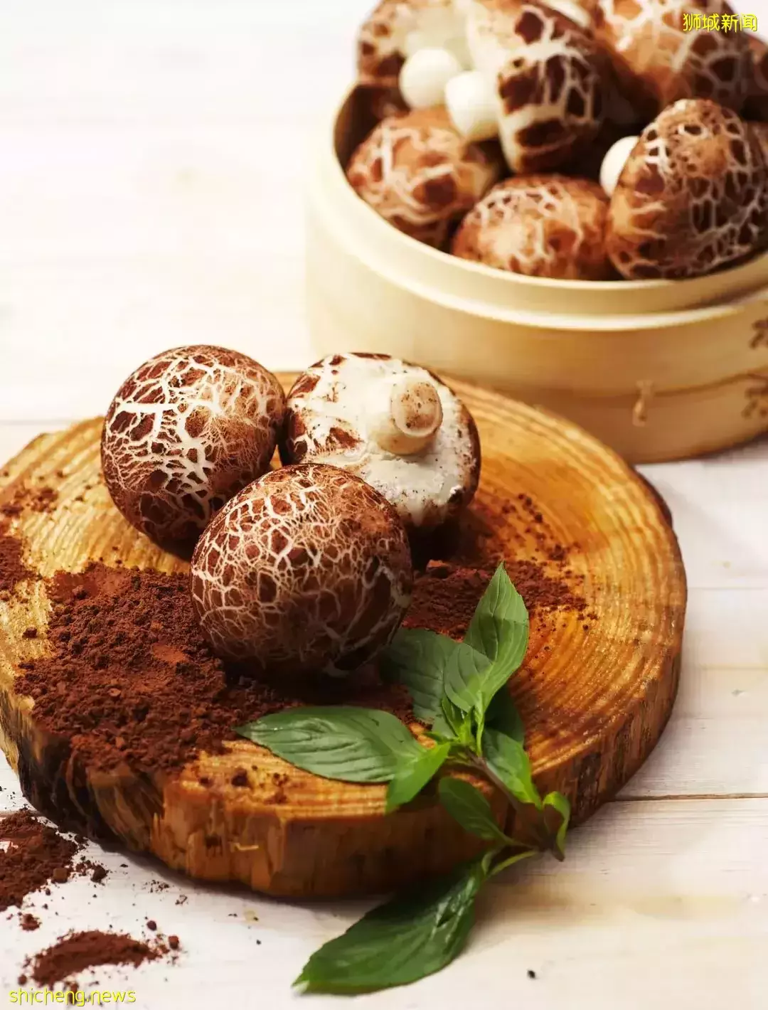 美味与颜值并存!这家乌节路港式餐厅超适合和大小闺蜜一起打卡,还有动物点心哦