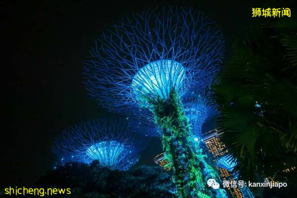 新加坡周末亮“绿光”，连李显龙都在拍！你有看到吗