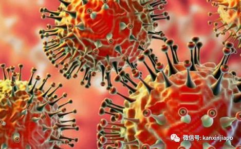 新增3例,累计96例|李显龙夫人:男人去过“奇怪的地方”,怕老婆知道,也要跟政府坦白