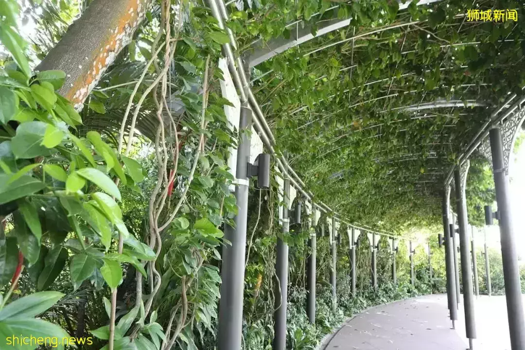 開搶!新加坡總統府免費開放,每人有5張票!附遊園攻略