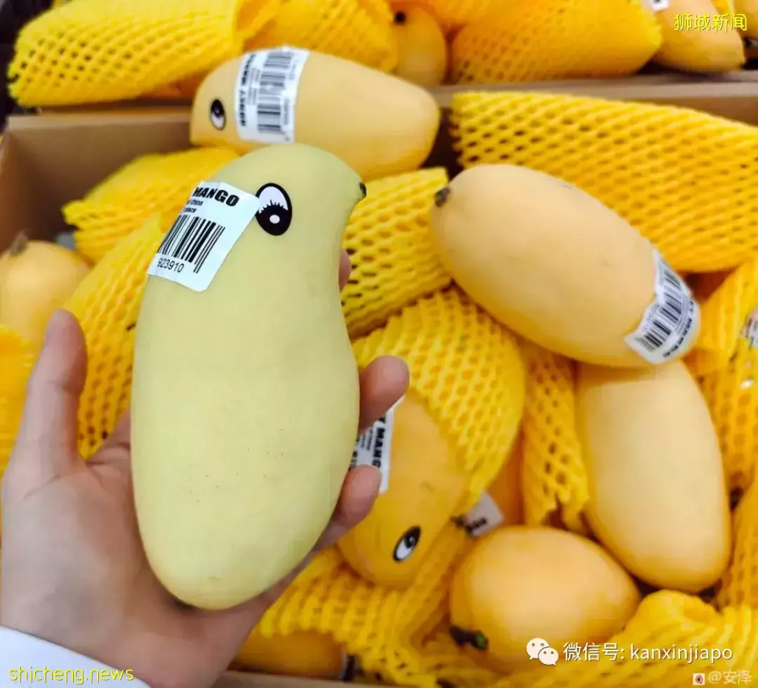 1新币白菜价，我在新加坡巴刹实现水果采购自由