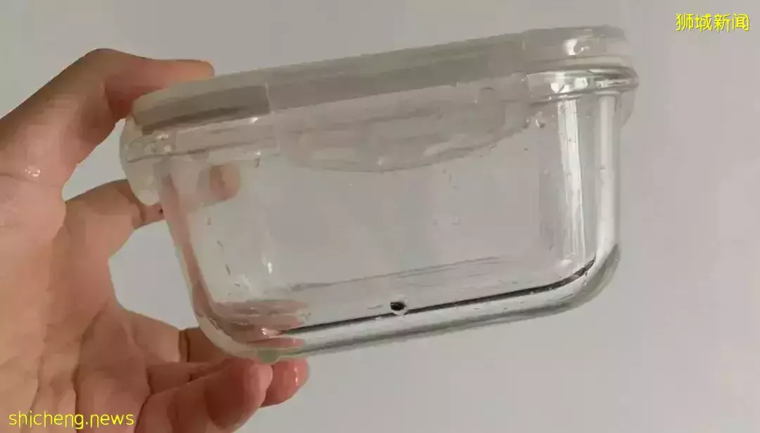 在疫情最疯狂的时候,带4岁娃留学新加坡!这个85后妈妈后悔了吗