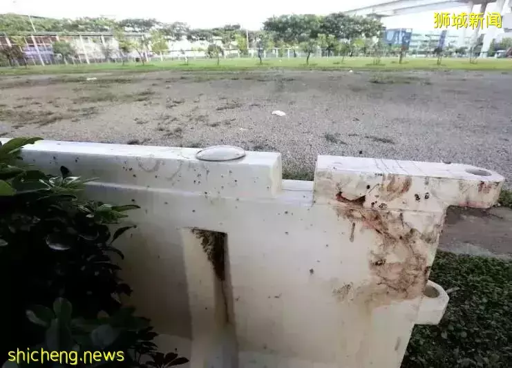 新加坡男子在克拉码头随机被砍!头顶两刀、满身是血,场面骇人