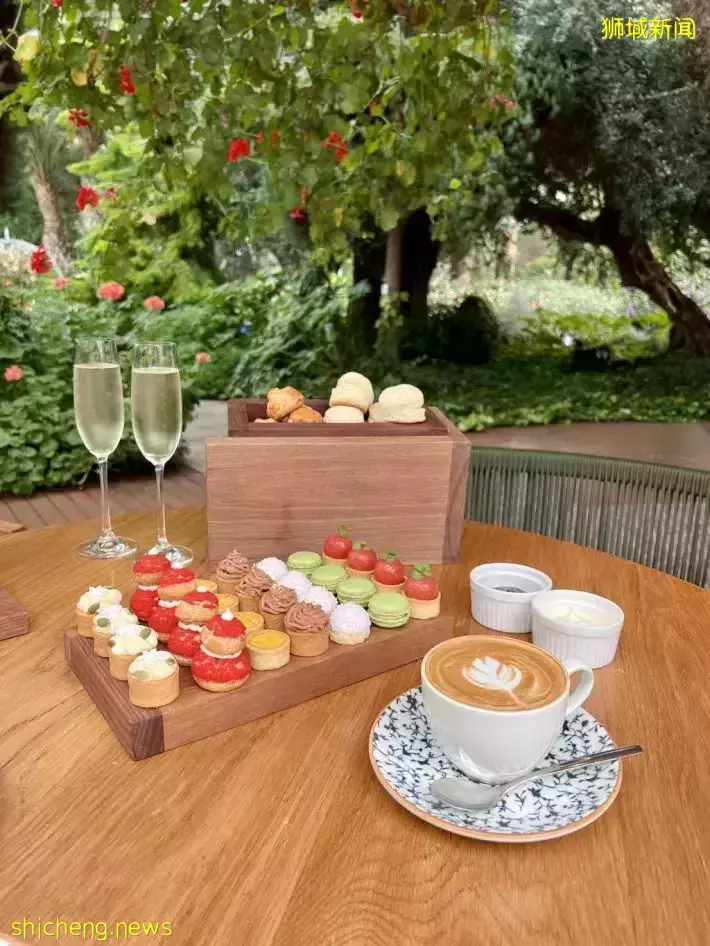 在Gardens by the bay享受节日下午茶!还可以免费进入Flower Dome哦