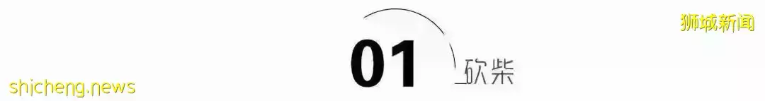 從貧民窟到首富,靠戰爭發家,揭秘油漆大王吳清亮傳奇人生