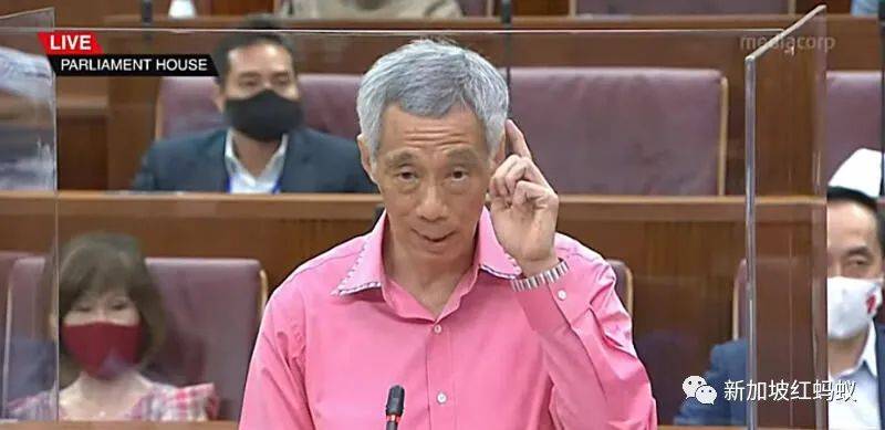 國會外的“忍者神龜”，新加坡執政黨看不見的辯論對手
