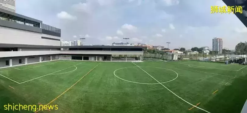 新加坡國際學校——不要讓孩子輸在起跑線上