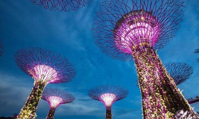 李光耀家族内讧:新加坡的“托管式民主”还能走多远