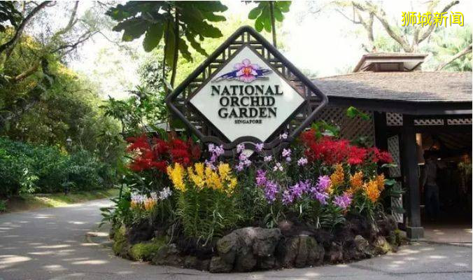 新加坡丨到了新加坡才知道的那些事儿(六)