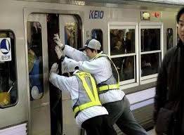 1700新币招聘“赶鸟人”,你敢去求职吗