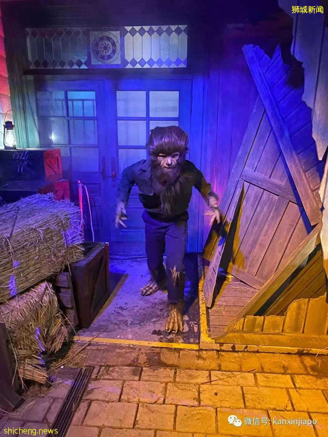 抢先看！环球影城万圣节惊魂夜“捣蛋更刺激”回来啦