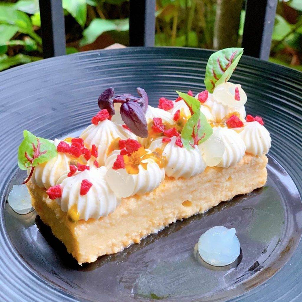 全新探索攻略💐“Botanic Garden”還可以這樣玩!唯美天鵝湖、奇妙曆險公園,解鎖新視野